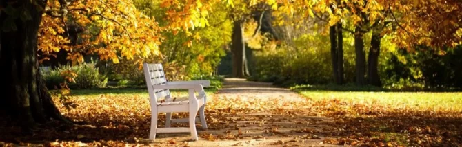 Servicii funerare decedati acasa sau spital in Brașov